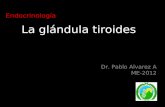 La glándula tiroides
