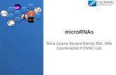 microRNAs Silvia Juliana Serrano Gómez  BSc ,  MSc Coordinadora FICMAC- Lab