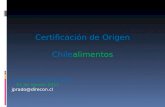 Certificación de Origen Chile alimentos