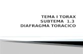 TEMA I TORAX SUBTEMA  1.3  DIAFRAGMA TORACICO
