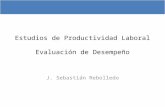 Estudios de Productividad Laboral Evaluación de Desempeño
