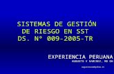 SISTEMAS DE GESTIÓN  DE RIESGO EN SST DS. Nº 009-2005-TR EXPERIENCIA PERUANA