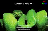 OpenCV Python