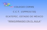 COLEGIO COPAN  C.C.T. 15PPR3172Q ECATEPEC, ESTADO DE MÉXICO “ MINIGIMNASIO EN EL AULA ”