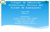 Colegio de Educación Profesional Técnica del Estado de Guanajuato