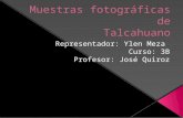 Muestras fotográficas de T alcahuano
