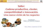 Facilitador:  Pablo Luis Saravia Tasayco