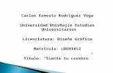 Carlos Ernesto Rodríguez Vega Universidad UnivBajio Estudios Universitarios