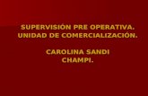 SUPERVISIÓN PRE OPERATIVA. UNIDAD DE COMERCIALIZACIÓN. CAROLINA SANDI CHAMPI.
