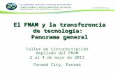 El FMAM y la transferencia de tecnología:  Panorama general