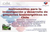Instrumentos para la investigación y desarrollo de proyectos bioenergéticos en Chile