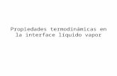 Propiedades termodinámicas en la interface líquido vapor