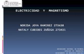 ELECTRICIDAD  Y  MAGNETISMO NORIDA JOYA RAMIREZ 273438 NATALY CUBIDES ZUÑIGA 273431