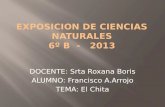 EXPOSICION DE CIENCIAS NATURALES 6º B  -   2013