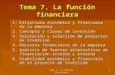 Tema 7. La función financiera