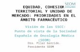 EQUIDAD, COHESION TERRITORIAL Y UNIDAD DE MERCADO: PRIORIDADES EN EL ÁMBITO FARMACÉUTICO