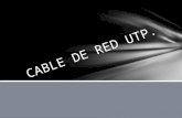 CABLE DE RED UTP.