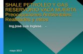 SHALE PETROLEO Y GAS RESERVORIO VACA MUERTA Preocupaciones Ambientales : Realidades  y  mitos