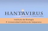 Instituto de Biología P. Universidad Católica de Valparaíso