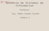 Profesor:  Ing. Pedro Chávez  Farfán Semana 3