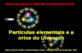 Partículas elementais e a orixe do Universo