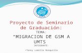 Proyecto de  Seminario de Graduación: TEMA: “MIGRACION DE GSM A UMTS” INTEGRANTE: