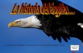 La historia del águila...