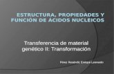 Estructura, propiedades y función de ácidos nucleicos