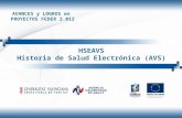 HSEAVS Historia de Salud Electrónica (AVS)