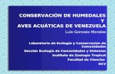 CONSERVACIÓN DE HUMEDALES Y  AVES ACUÁTICAS DE VENEZUELA Luis Gonzalo Morales