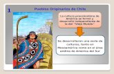 Pueblos  Originarios de  Chile
