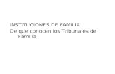 INSTITUCIONES DE FAMILIA De que conocen los Tribunales de Familia