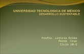 UNIVERSIDAD TECNOLOGICA DE MÈXICO DESARROLLO SUSTENTABLE