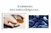 Exámenes microbiológicos.