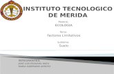 INSTITUTO TECNOLOGICO DE MERIDA