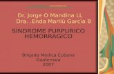 Dr. Jorge O Mandina LL     Dra. .Enda Marilù Garcìa B