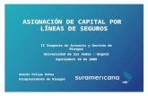 ASIGNACIÓN DE CAPITAL POR  LÍNEAS DE SEGUROS