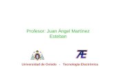 Profesor: Juan Ángel Martínez Esteban