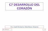 C7 DESARROLLO DEL CORAZÓN