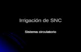 Irrigación de SNC