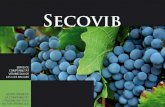 Servei de comptabilitat vitivinícola de les Illes Balears