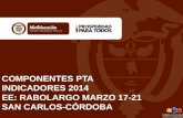 COMPONENTES PTA INDICADORES 2014 EE: RABOLARGO MARZO 17-21 SAN CARLOS-CÓRDOBA