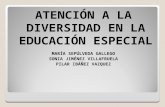 ATENCIÓN A LA DIVERSIDAD EN LA EDUCACIÓN ESPECIAL MARÍA SEPÚLVEDA GALLEGO