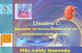 Cistatina C: