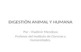 DIGESTIÓN ANIMAL Y HUMANA