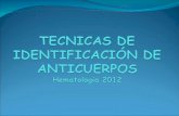 TECNICAS DE IDENTIFICACIÓN DE  ANTICUERPOS Hematologia  2012
