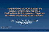 IAPG - Jornadas Técnicas Comahue 2008  Pluspetrol - BJ Services  Mayo 2008