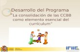 Desarrollo del Programa  “ La consolidación de las CCBB como elemento esencial del currículum”
