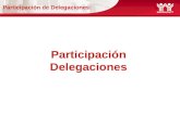 Participación de Delegaciones:
