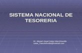 SISTEMA NACIONAL DE TESORERIA